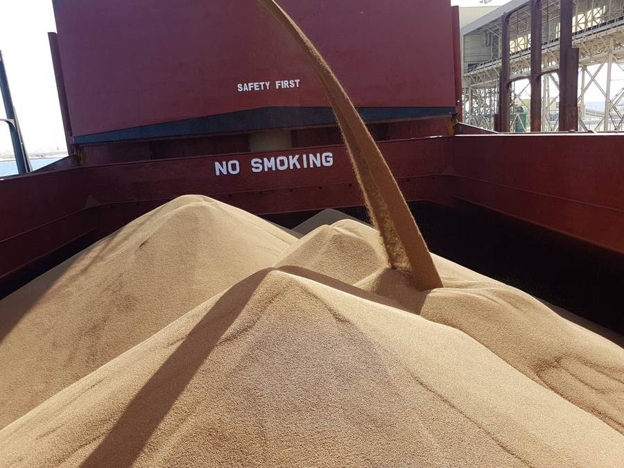 Cargo in hold — bagged goods